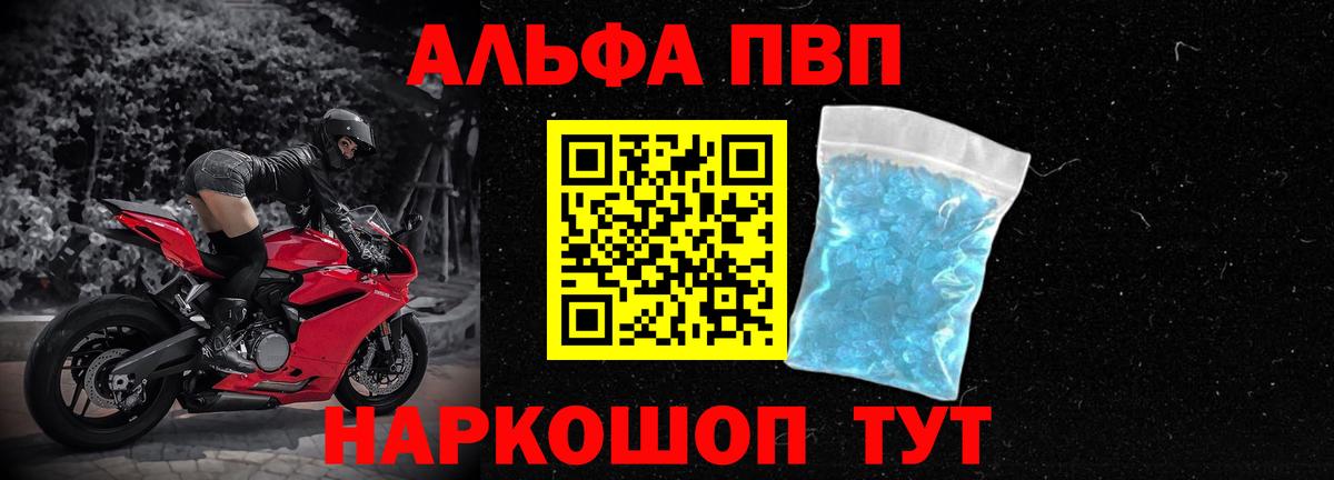 A PVP СК КРИС Химки