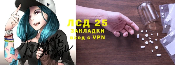 индика Горняк