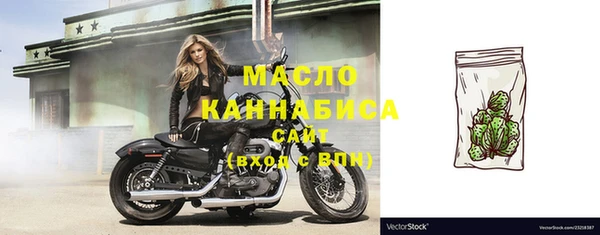 индика Горняк