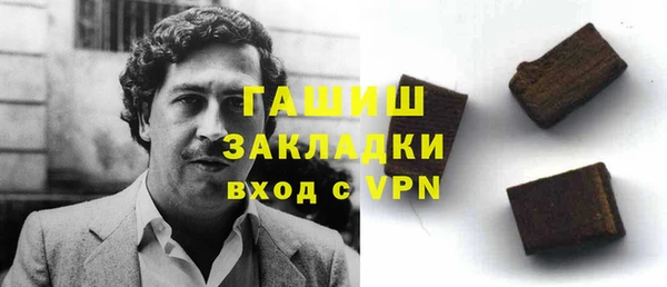 индика Горняк
