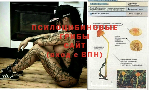 стафф Горнозаводск