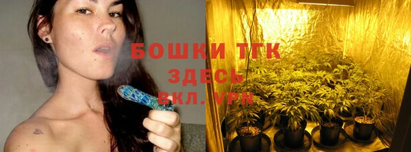 индика Горняк