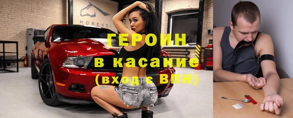 индика Горняк