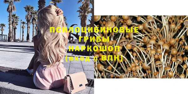 стафф Горнозаводск