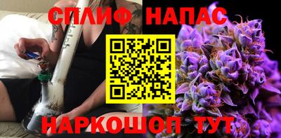 прущие грибы Обнинск