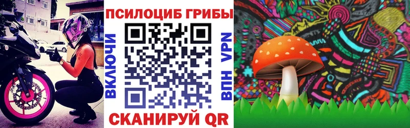 наркота  Химки  ссылка на мегу зеркало  Псилоцибиновые грибы Cubensis 