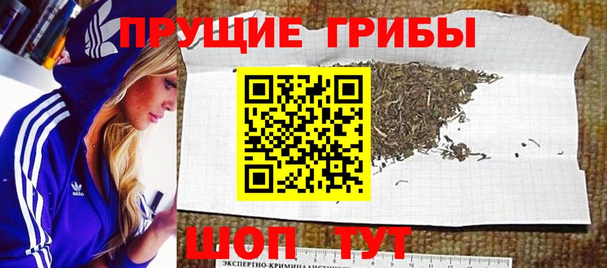 Псилоцибиновые грибы Cubensis Химки
